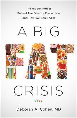 Deborah Cohen - Big Fat Crisis, Inbunden