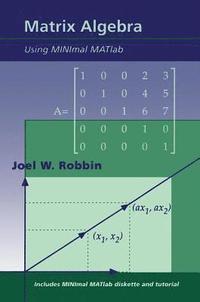 bokomslag Matrix Algebra Using MINimal MATlab