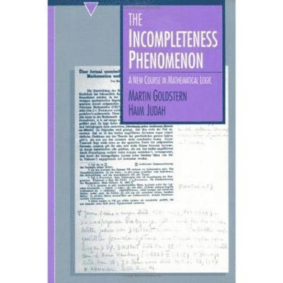 Martin Goldstern, Haim Judah - Incompleteness Phenomenon, Häftad
