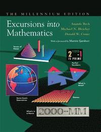 bokomslag Excursions into Mathematics