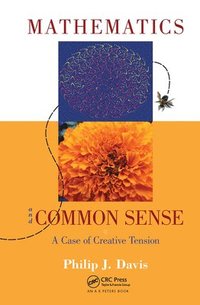 bokomslag Mathematics & Common Sense