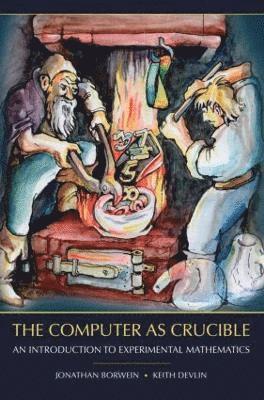 bokomslag Computer as Crucible