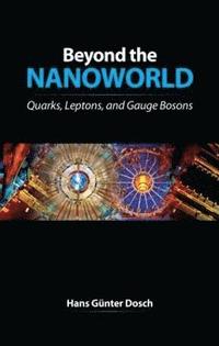 bokomslag Beyond the Nanoworld