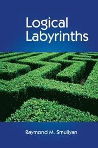 bokomslag Logical Labyrinths