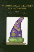Ed Pegg Jr, Alan Schoen, Tom Rodgers - Mathematical Wizardry for a Gardner, Inbunden