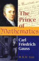 bokomslag Prince of Mathematics