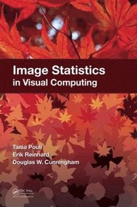 bokomslag Image Statistics in Visual Computing