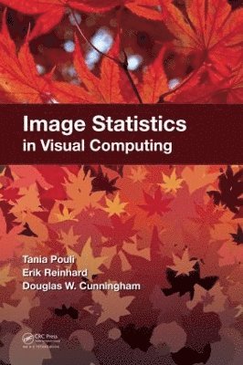 Image Statistics in Visual Computing 1