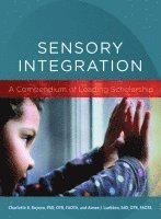 bokomslag Sensory Integration