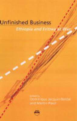 Dominique Jacquin-Berdal, Martin Plaut - Unfinished Business, Häftad