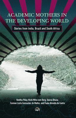 Academic Mothers In The Developing World: Stories From India, Brazil And South Africa 1