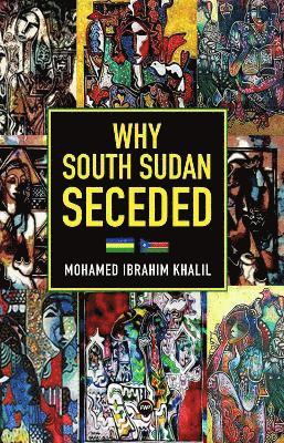 bokomslag Why South Sudan Seceded