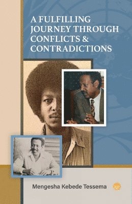 bokomslag Fulfilling Journey Through Conflicts & Contradictions