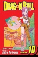 bokomslag Dragon Ball, Vol. 10