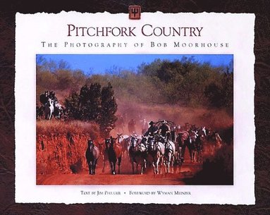 bokomslag Pitchfork Country