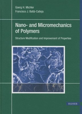Nano- And Micromechanics of Polymers: Structure Modification and Improvement of Properties 1