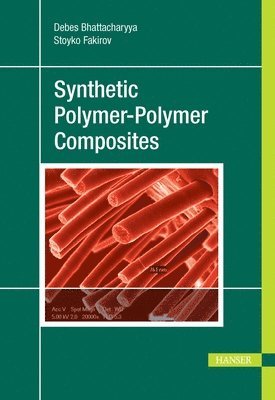 bokomslag Synthetic Polymer-Polymer Composites