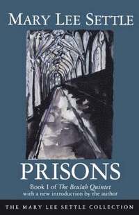 bokomslag Prisons