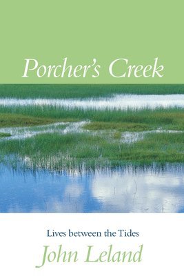 Porcher's Creek 1