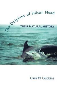 bokomslag The Dolphins of Hilton Head