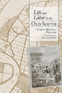 bokomslag Life and Labor in the Old South
