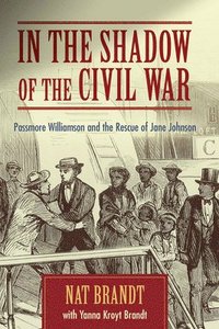 bokomslag In the Shadow of the Civil War