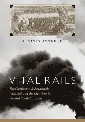 bokomslag Vital Rails
