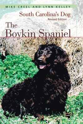 bokomslag Boykin Spaniel