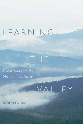 bokomslag Learning the Valley