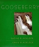 bokomslag Gooseberry