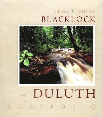 Duluth Portfolio 1