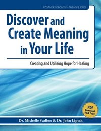 bokomslag Discover and Create Meaning in Your Life
