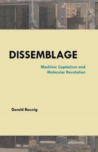bokomslag Dissemblage