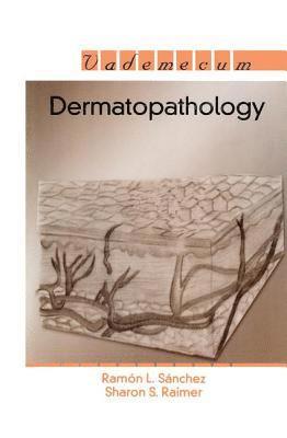 bokomslag Dermatopathology