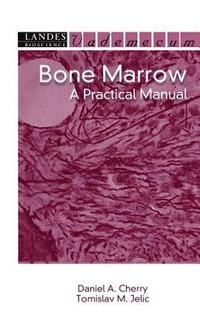 bokomslag Bone Marrow