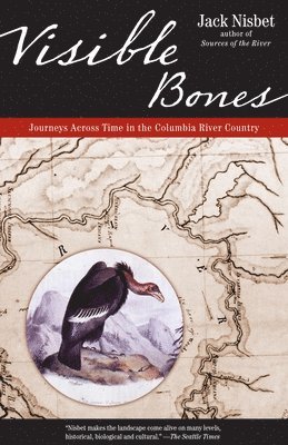 bokomslag Visible Bones