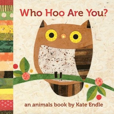 bokomslag Who Hoo Are You?