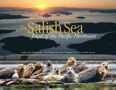 bokomslag The Salish Sea