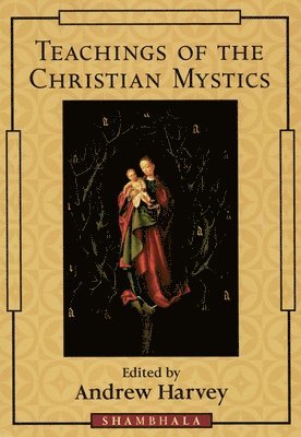 bokomslag Teachings of the Christian Mystics