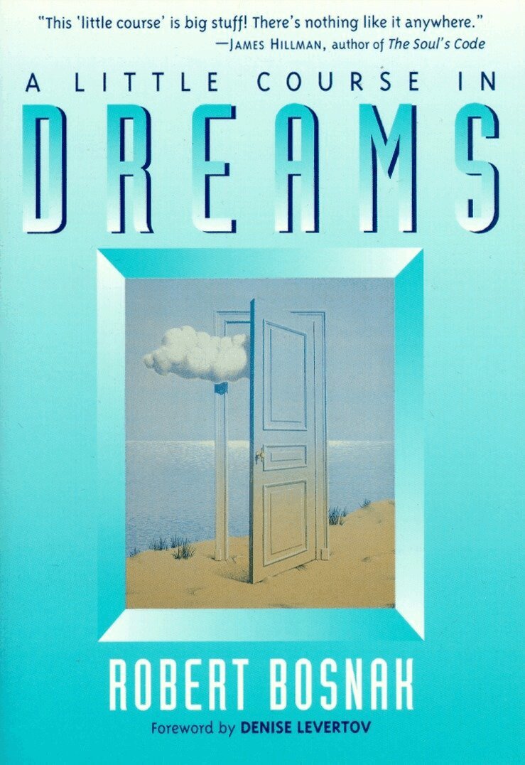 Little Course in Dreams, Häftad