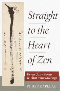 bokomslag Straight to the Heart of Zen