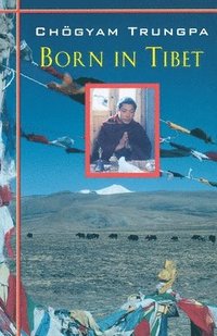 bokomslag Born In Tibet
