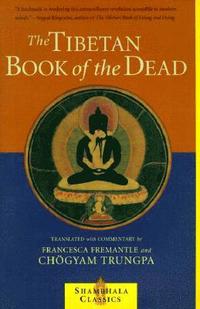 bokomslag The Tibetan Book of the Dead