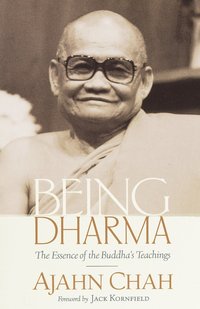 bokomslag Being Dharma