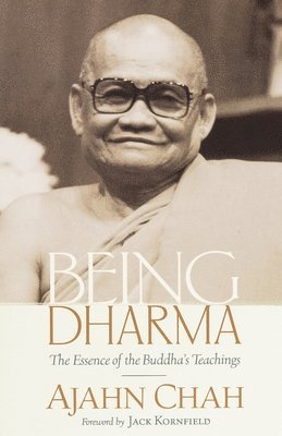 bokomslag Being Dharma