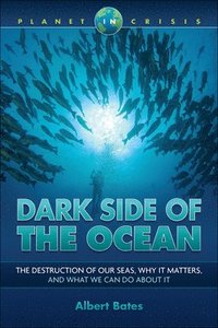 bokomslag Dark Side of the Ocean