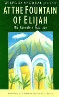 bokomslag At the Fountain of Elijah: The Carmelite Tradition