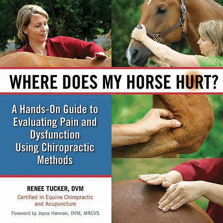 Renee Tucker - Where Does My Horse Hurt?, Inbunden. Tillgänglighet: Lägg i varukorg