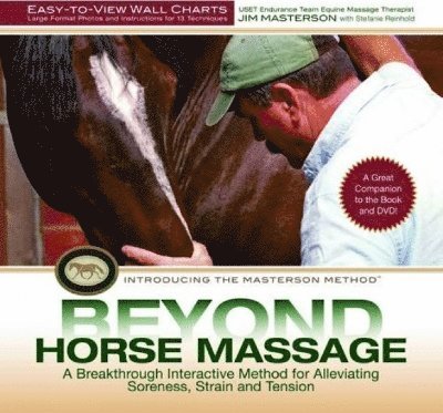 Beyond Horse Massage Wall Chart 1