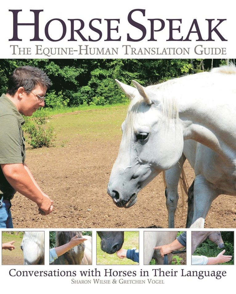Sharon Wilsie, Gretchen Vogel - Horse Speak: An Equine-Human Translation Guide, Häftad